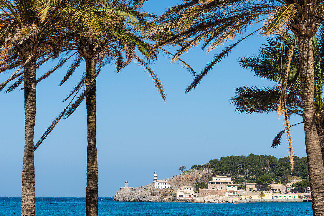 View from the promenade with palm trees at the harbour, Port de Sóller, Mallorca, Spain