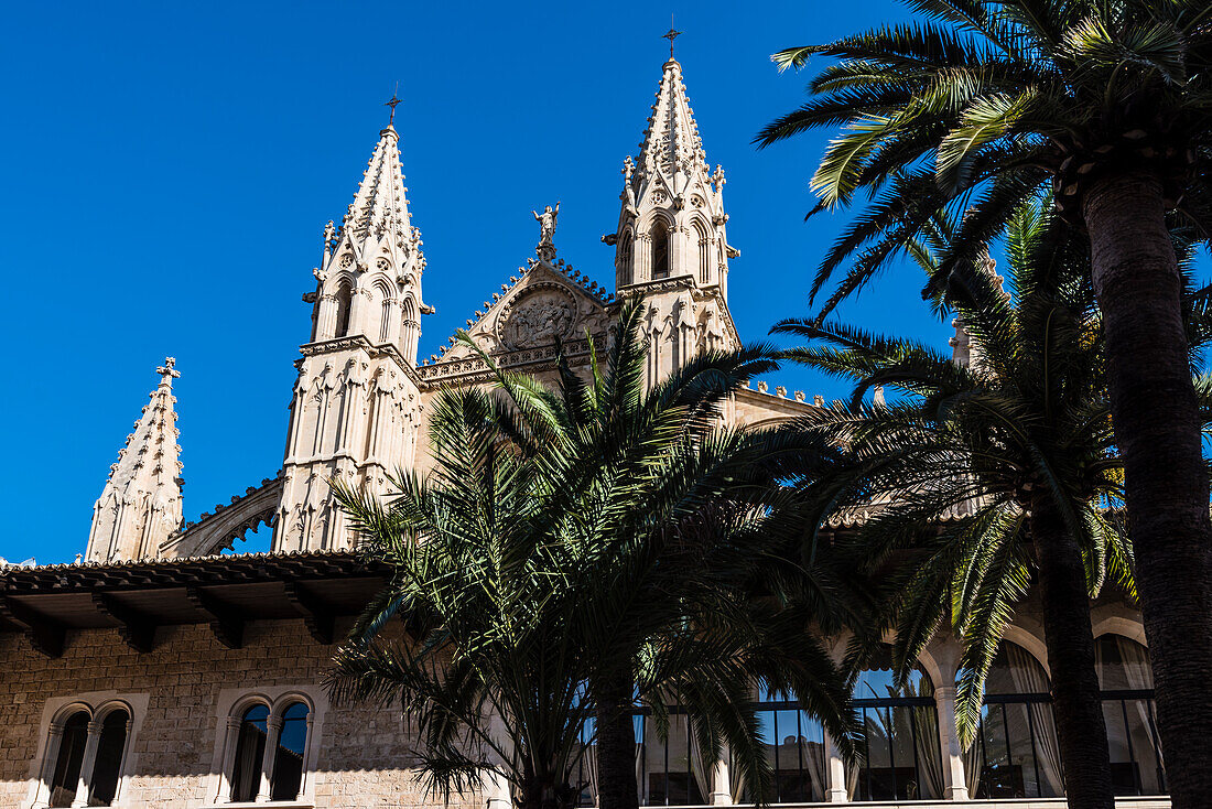 Blick aus dem Innenhof vom Königspalast La Almudaina auf die Kathedrale, Palma de Mallorca, Mallorca, Spanien