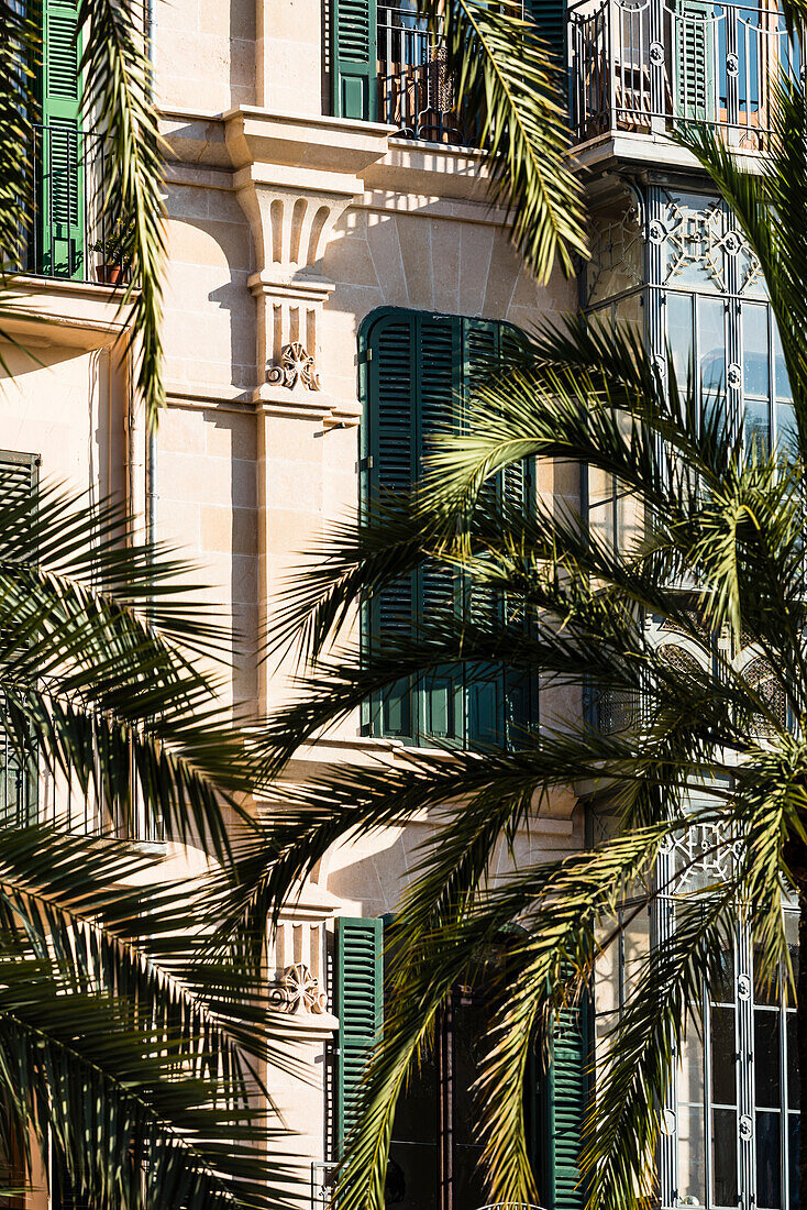 Prachtvolle Häuser in der Altstadt mit Palmen, Palma de Mallorca, Mallorca, Spanien