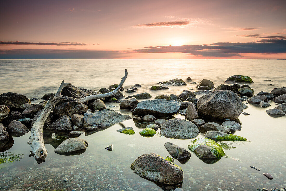 Driftwood on the beach, Bagenkop, Baltic Sea, Langeland, Denmark