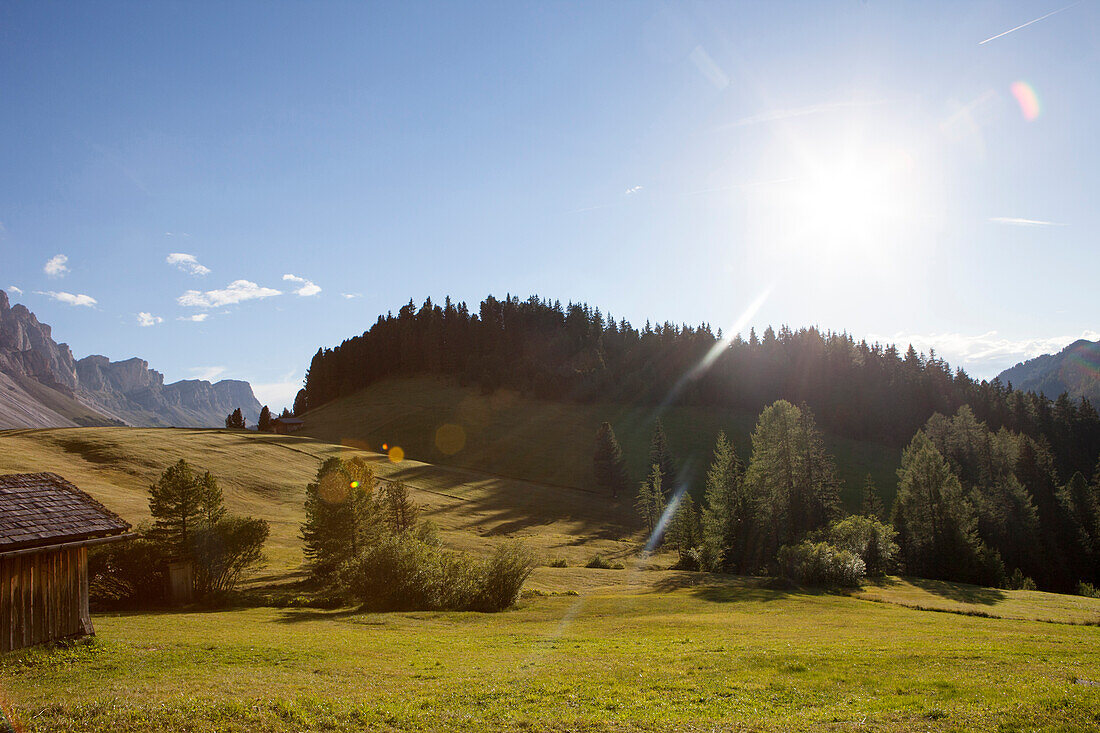 Freshly cut meadow in front of Geisler peaks, Dolomites, South Tirol, Italy