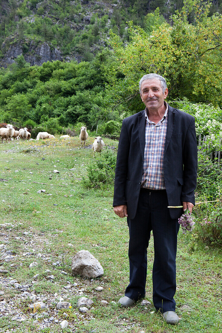 Shepherd with his flock of sheep, Theth, Albanian alps, Albania