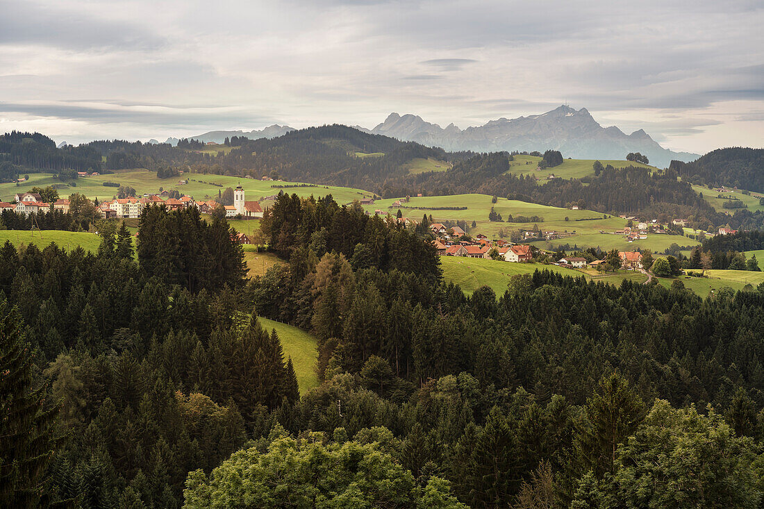 Blick zum Säntis Massiv, Kanton St. Gallen, Schweiz, Europa