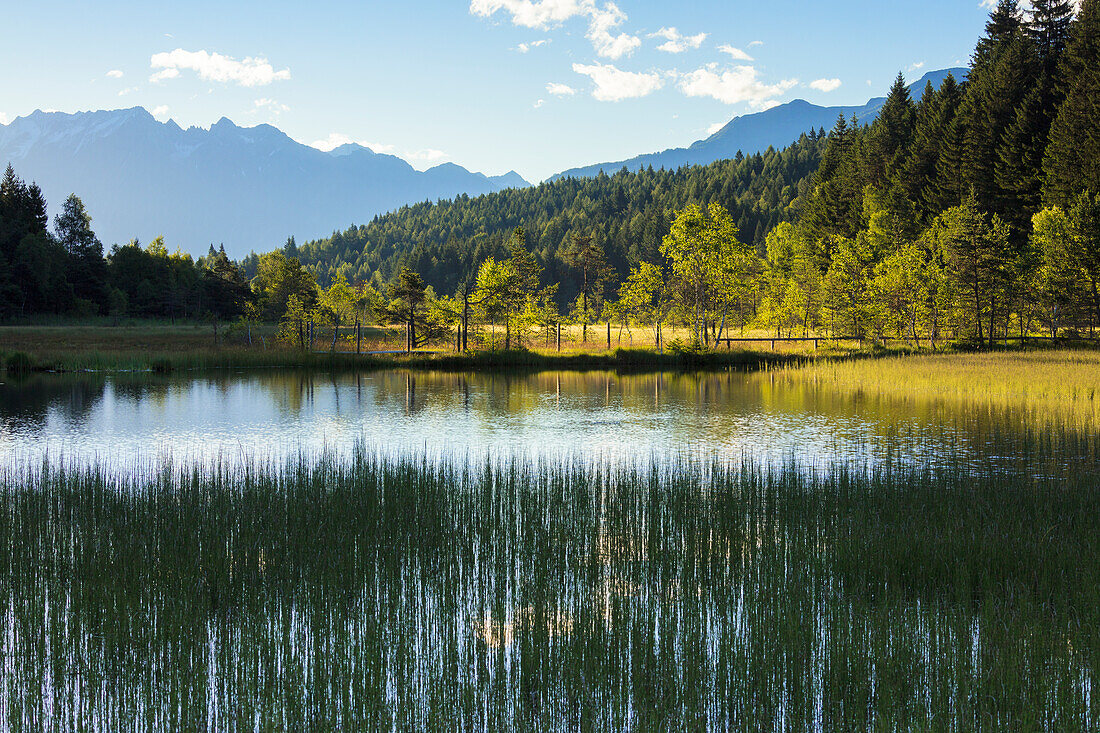 Dawn leuchtet den Sumpf des Naturschutzgebietes Pian di Gembro, Aprica, Provinz Sondrio, Valtellina, Lombardei, Italien, Europa