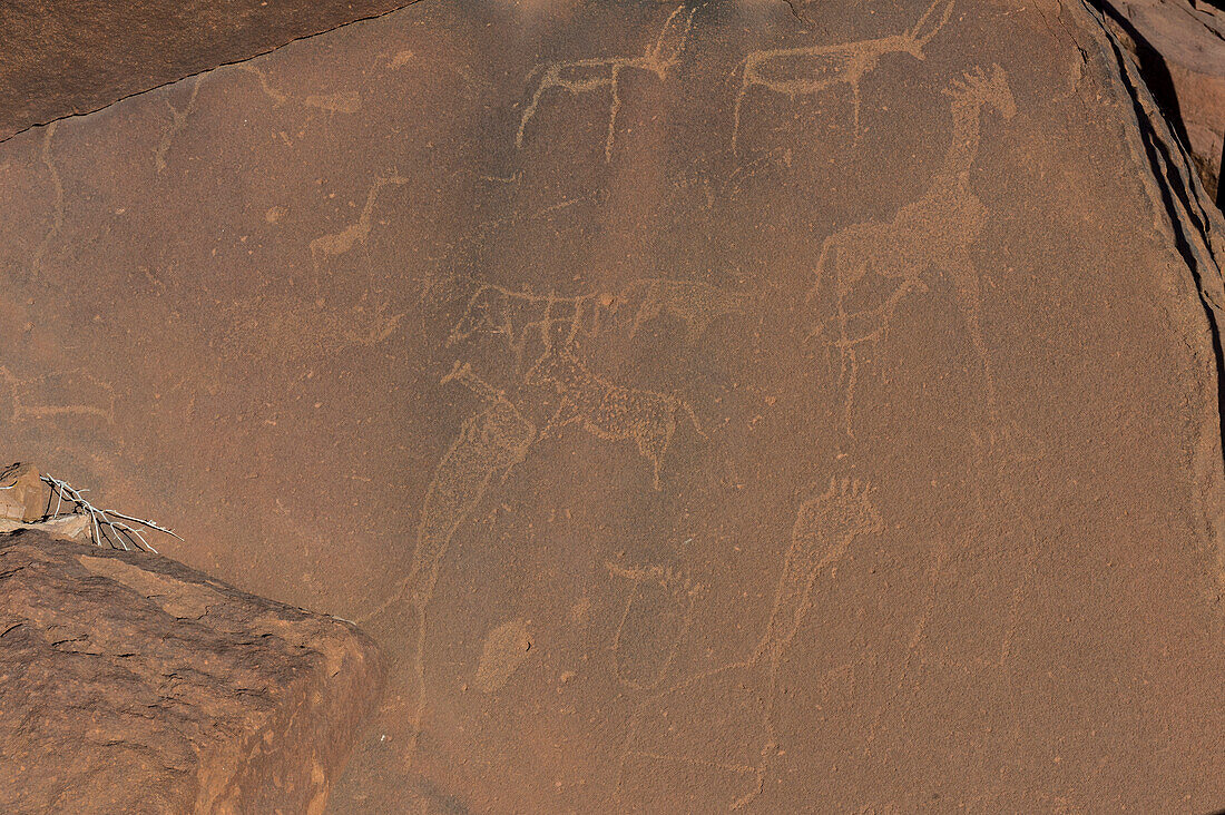 Alte Felsgravuren, Twyfelfontein, UNESCO Weltkulturerbe, Namibia, Afrika