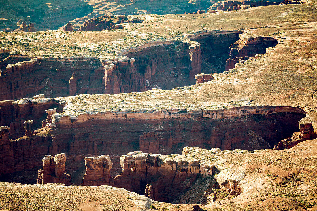 Felsformationen im Canyonlands Nationalpark, Moab, Utah, Vereinigte Staaten von Amerika, Nordamerika