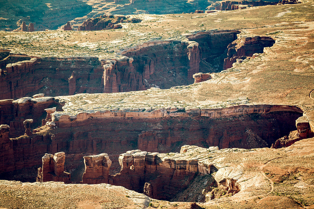 Rock formations in Canyonlands National Park, Moab, Utah, United States of America, North America