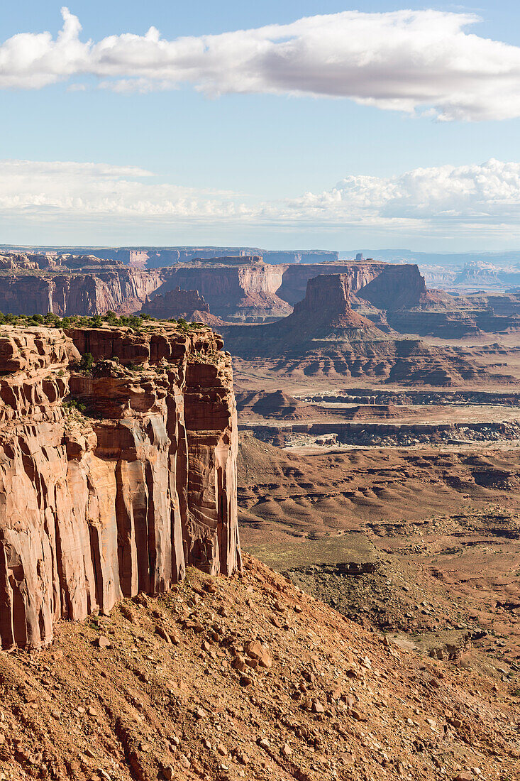 Felsformationen im Canyonlands Nationalpark, Moab, Utah, Vereinigte Staaten von Amerika, Nordamerika