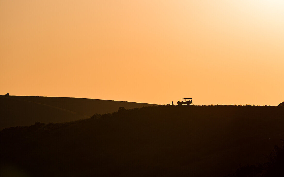 Sundowners at sunset over a South African Game Reserve, Amakhala, Eastern Cape, South Africa, Africa