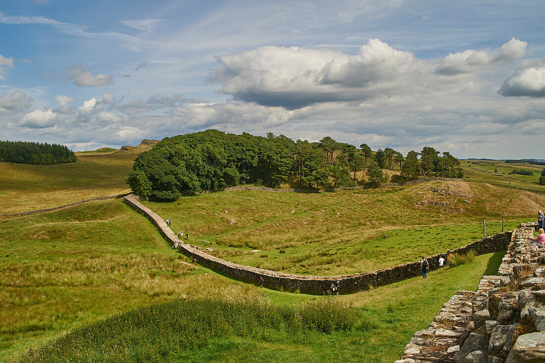 A section of Hadrian's Wall at Housesteads Fort, Bardon Mill, UNESCO World Heritage Site, Northumberland, England, United Kingdom, Europe