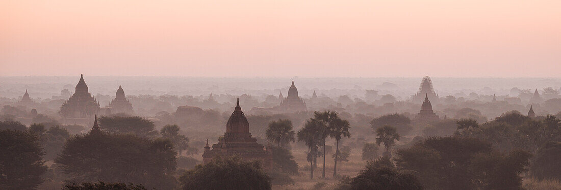 View of temples at dawn, Bagan (Pagan), Mandalay Region, Myanmar (Burma), Asia