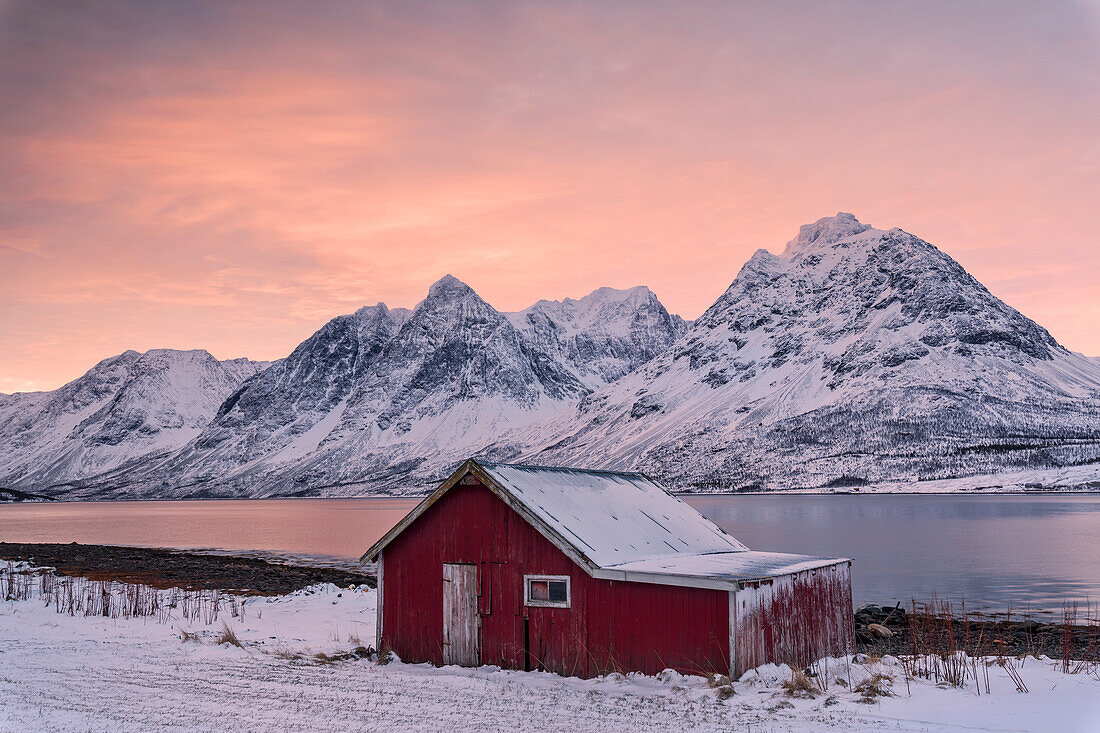 Pink clouds at dawn on the wooden hut surrounded by frozen sea and snowy peaks, Svensby, Lyngen Alps, Troms, Norway, Scandinavia, Europe