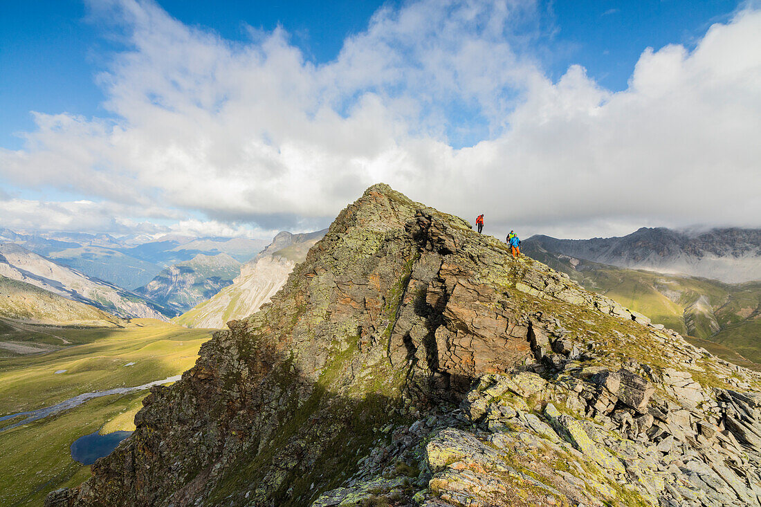 Hikers on the rocky crest of Monte Scorluzzo in summer, Bormio, Braulio Valley, Stelvio Pass, Valtellina, Lombardy, Italy, Europe