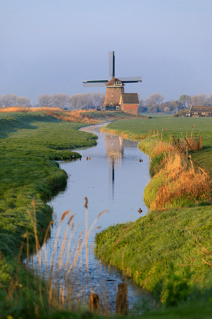 Typical windmill reflected in the canal at dawn, Berkmeer, municipality of Koggenland, North Holland, The Netherlands, Europe