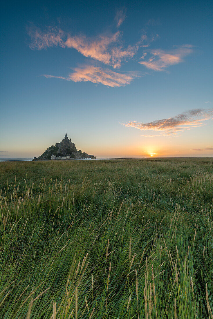 Sonnenaufgang mit Gras im Vordergrund, Normandie, Frankreich, Europa