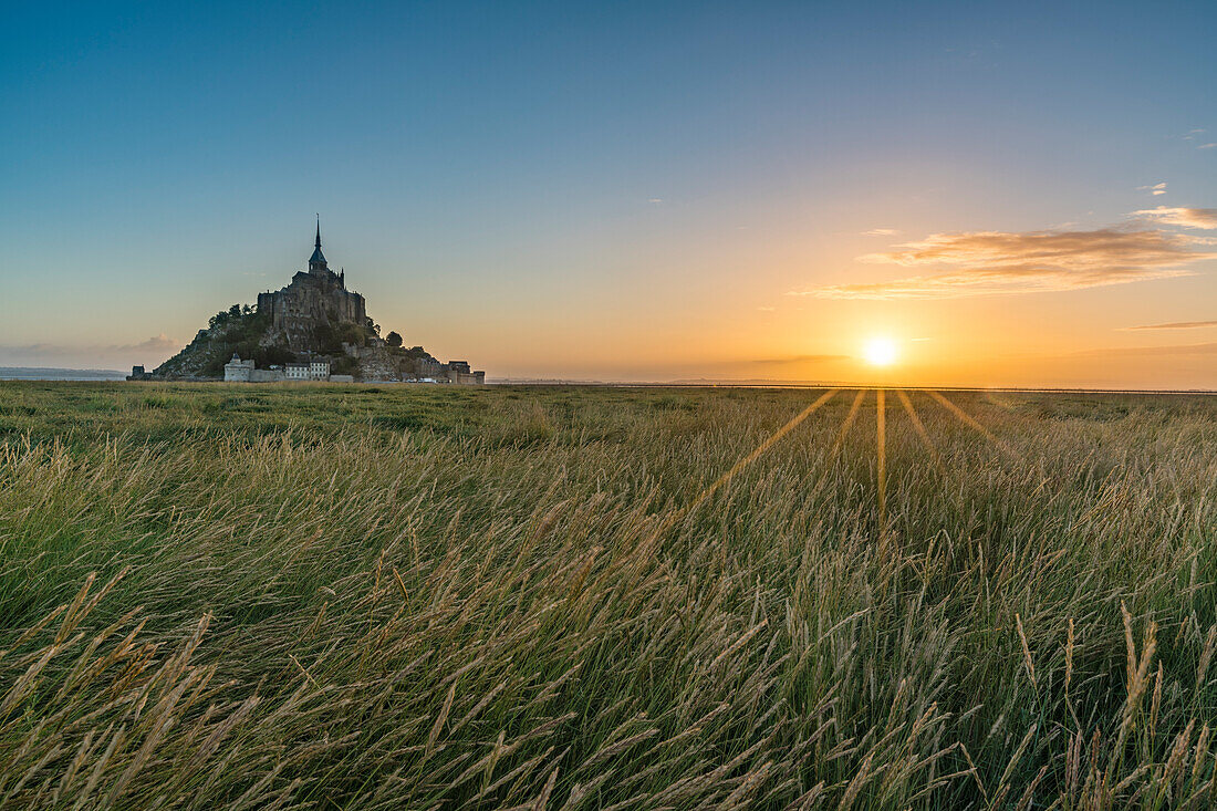 Sonnenaufgang mit Gras im Vordergrund, Normandie, Frankreich, Europa