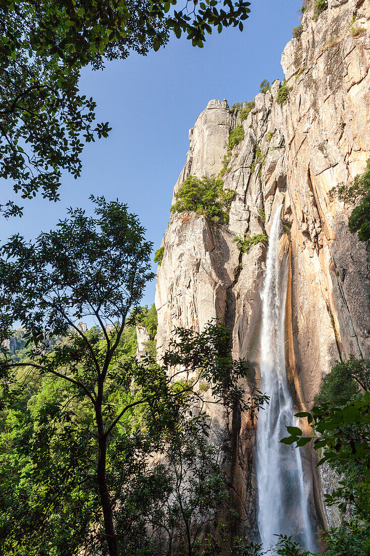 The Piscia di Gallo waterfall surrounded by granite rocks and green woods, Zonza, Southern Corsica, France, Europe