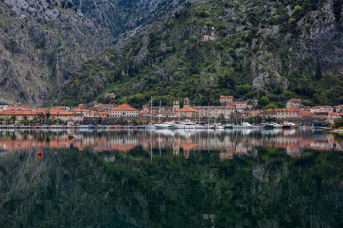Old Town (stari grad) of Kotor reflected in Kotor Bay, UNESCO World Heritage Site, Montenegro, Europe