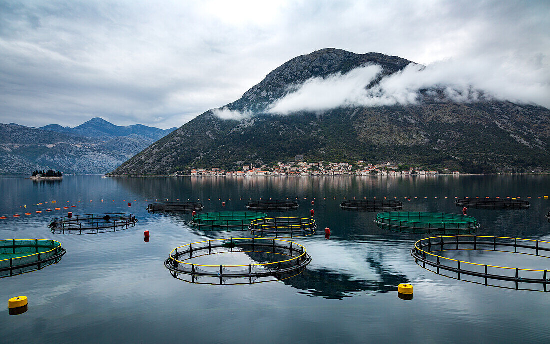 Looking across the Bay of Kotor towards the town of Perast, with circular fishing nets in the foreground, Bay of Kotor, UNESCO World Heritage Site, Montenegro, Europe