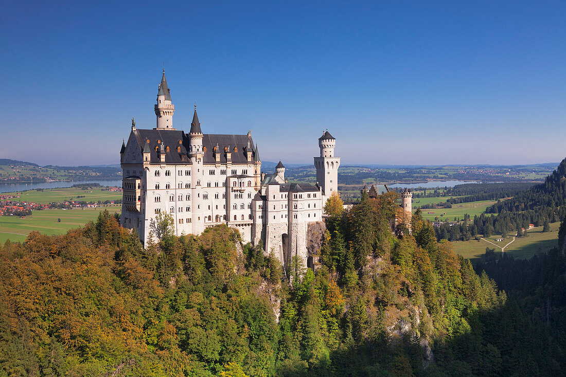Schloss Neuschwanstein, Füssen, Allgäu, Allgäuer Alpen, Bayern, Deutschland, Europa