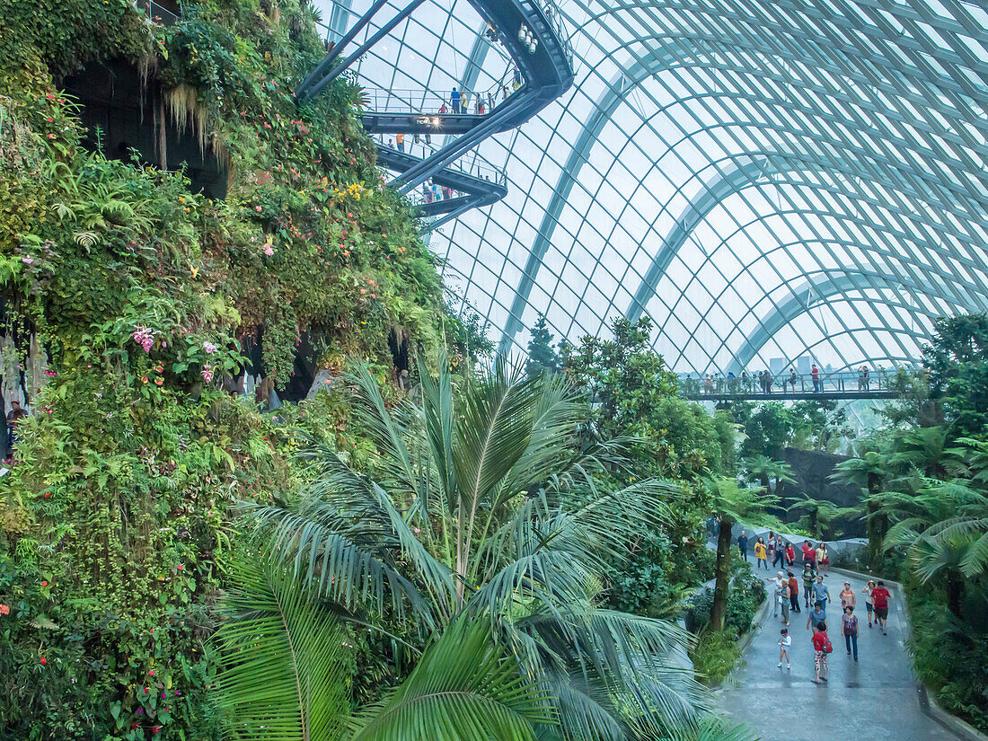 Indoor Regenwald Garten, Gärten von der Bucht, Singapur, Südostasien, Asien