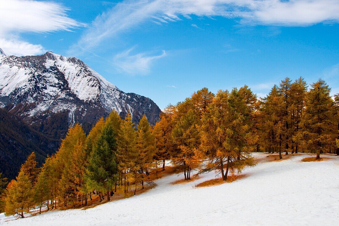 Orsiera Rocciavre Park, Chisone Valley, Turin, Piemont, Italien, Herbst Orsiera Rocciavre Park