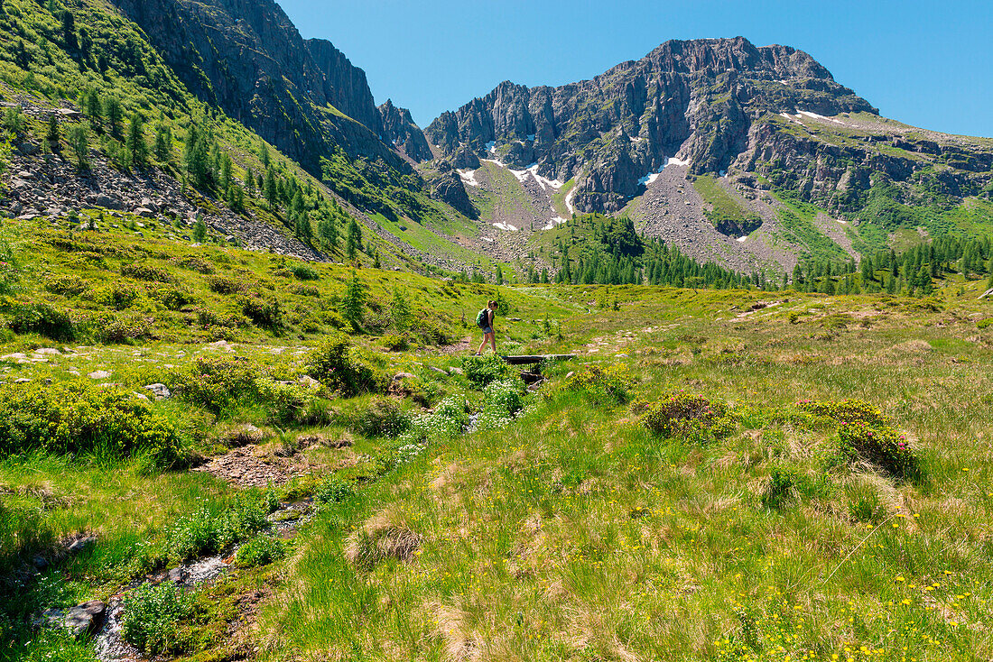 Italien, Trentino-Südtirol, San Pellegrino-Pass, Wanderer auf dem Weg zum Cimon di Bocche-Putsch entlang der Probefahrt n, 628 vom Pass von San Pellegrino