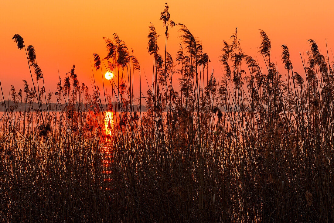 italy, Veneto, Garda Lake, sunset at lake