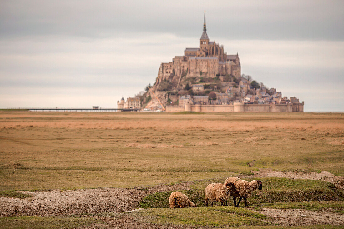 La Rive, Mont Saint Michel, Manche Departement, Normandie, Frankreich