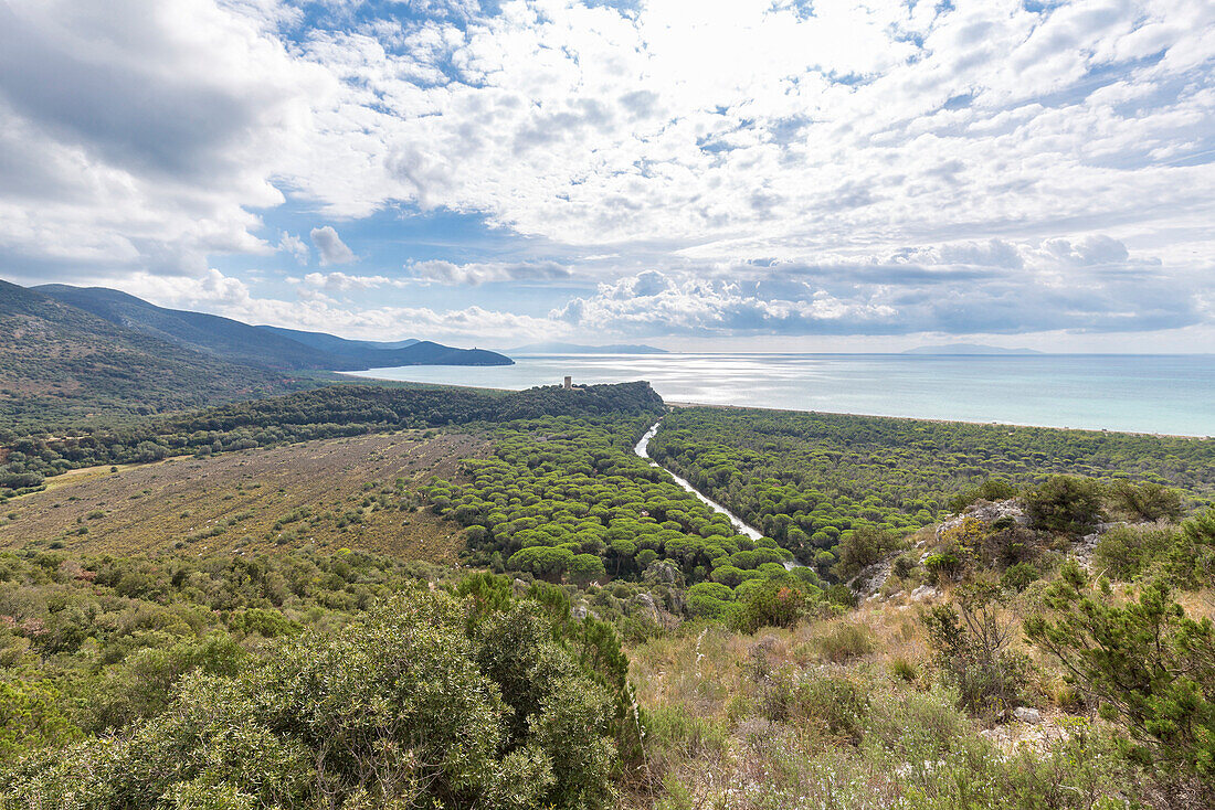 Panoramic view on Maremma Park, Tower of Castelmarino, Alberese, Maremma park, Parco della Maremma, Grosseto, Grosseto province, Tuscany, Italy, Europe