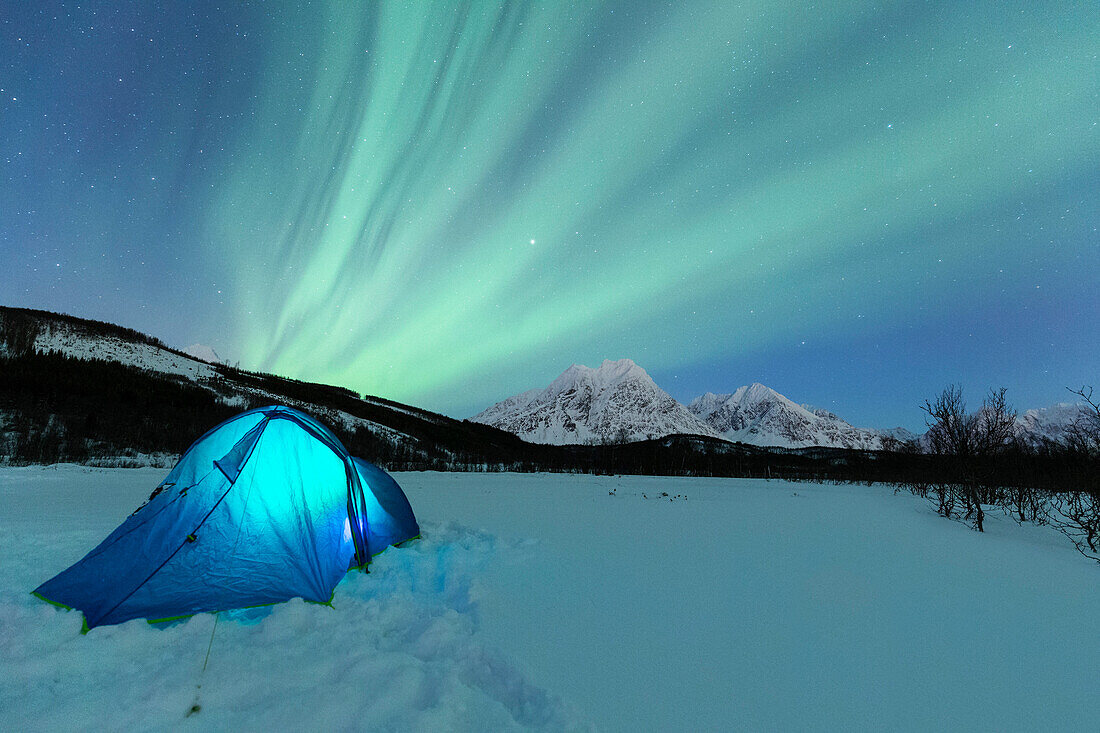 Camping with tent during a night with the Northern Lights, Svensby, Ullsfjorden, Lyngen Alps, Troms, Norway, Lapland, Europe