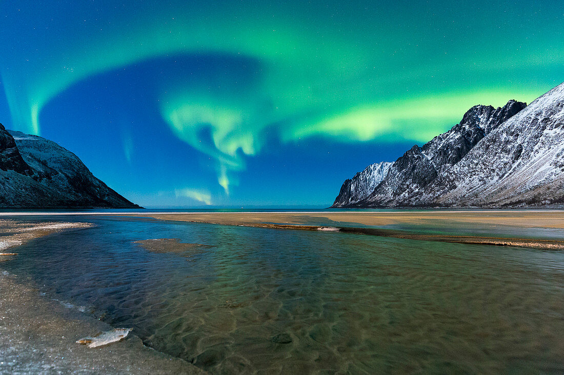 Nordlichter im Nachthimmel über Ersfjord Strand, Ersfjord, Ersfjorden, Senja, Norwegen, Europa