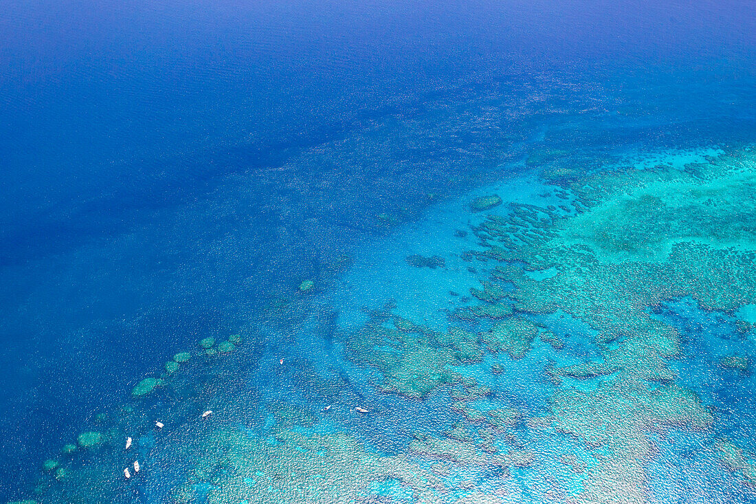 Great Barrier Reef von oben, Queensland, Australien, Herz Riff