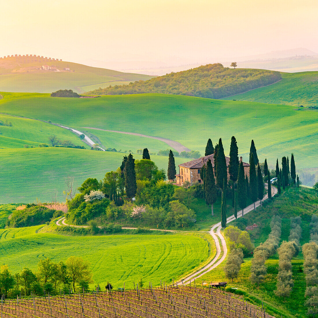 Val d'Orcia, Tuscany, Italy, A lonely farmhouse with cypress and olive trees, rolling hills