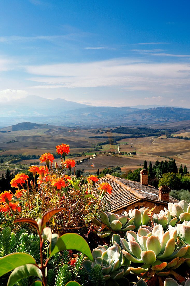 Blick auf Val d'Orcia coutryside von Pienza Dorf, Siena Bezirk, Toskana, Italien