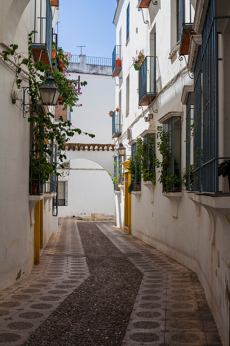 Córdoba, Andalusien, Spanien, Eine charakteristische schmale Straße