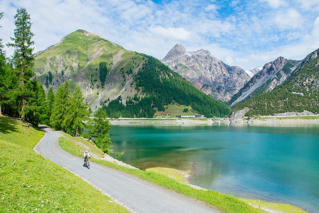 Europe, Italy, Lombardy, Sondrio, Mountain biker at Livigno lake in summer