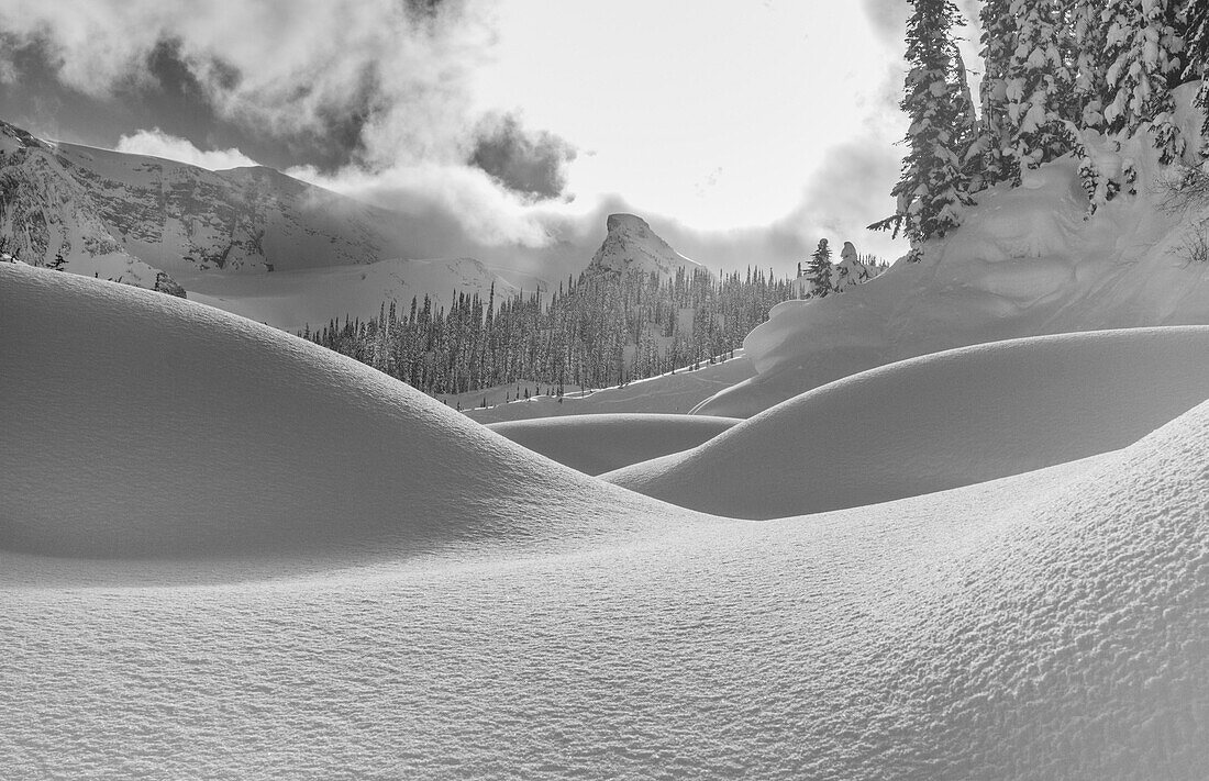 Asulkan Tal geschneite Dünen - Winterlandschaften - Roger Pass - British Columbia - Kanada