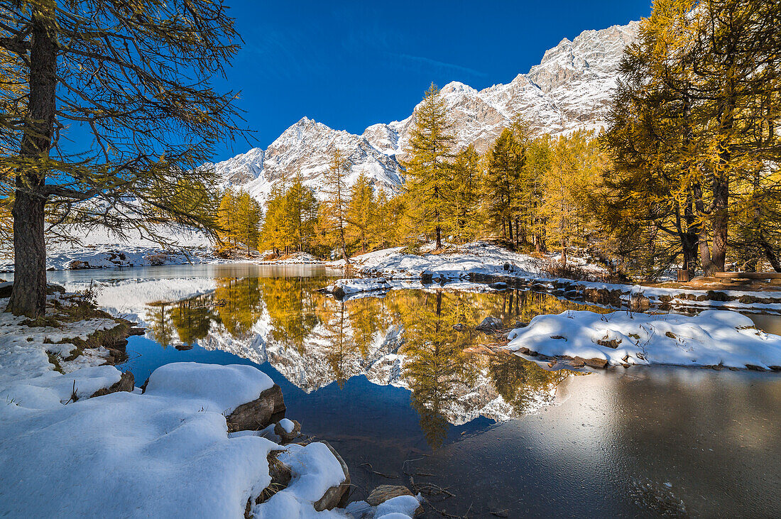 Reflection in the Lake Bleu in autumn , Cervinia, Valtournenche, Aosta province, Aosta Valley, Italy, Europe