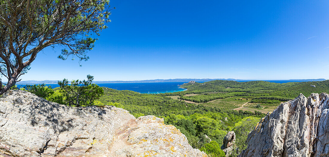 Panoramablick von der Spitze der Ile de Porquerolles, Ile de Porquerolles, Hyères, Toulon, Var, Provence-Alpes-Côte d'Azur, Frankreich, Europa