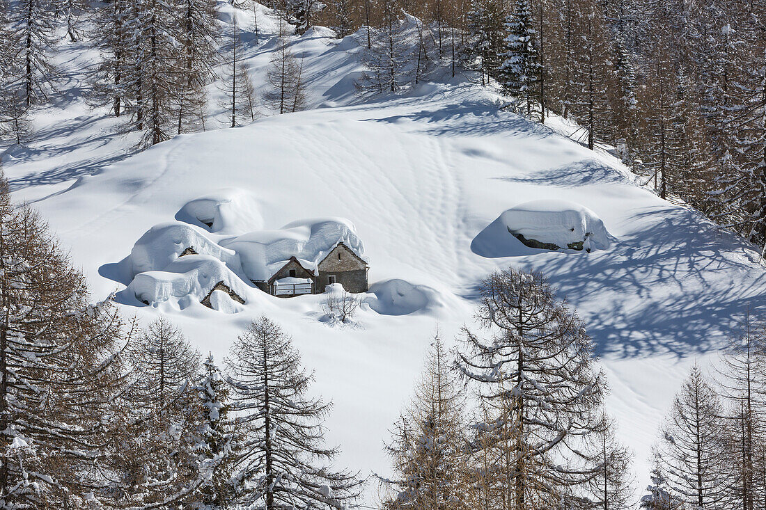 Winter view of the Alp Solcio , Alp Solcio, Varzo, Verbano Cusio Ossola province, Piedmont, Italy, Europe