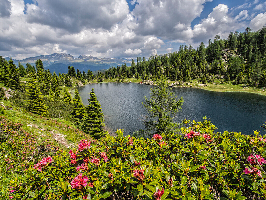 Italy, Dolomites, Rolle Pass, Colbricon lake