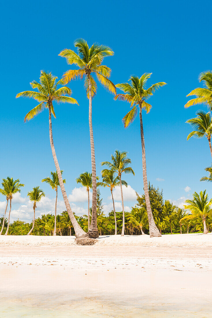 Juanillo Beach , playa Juanillo, Punta Cana, Dominican Republic