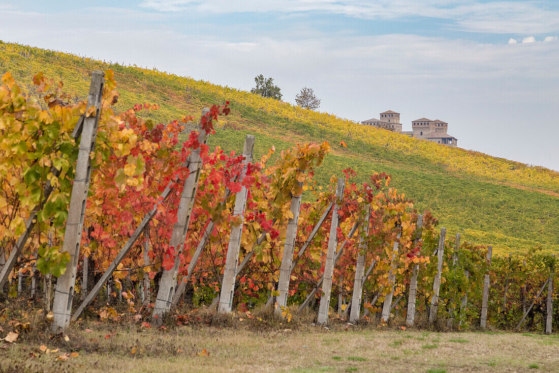 Autumn at the Castle of Torrechiara, Langhirano, Parma district, Emilia Romagna, Italy