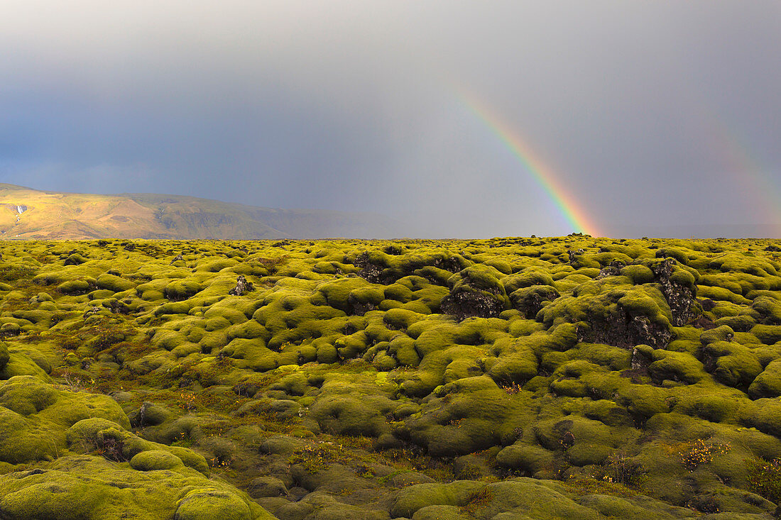 Rainbow, Europe, Iceland, Kirkjubaejarklaustur, Region Sudurland