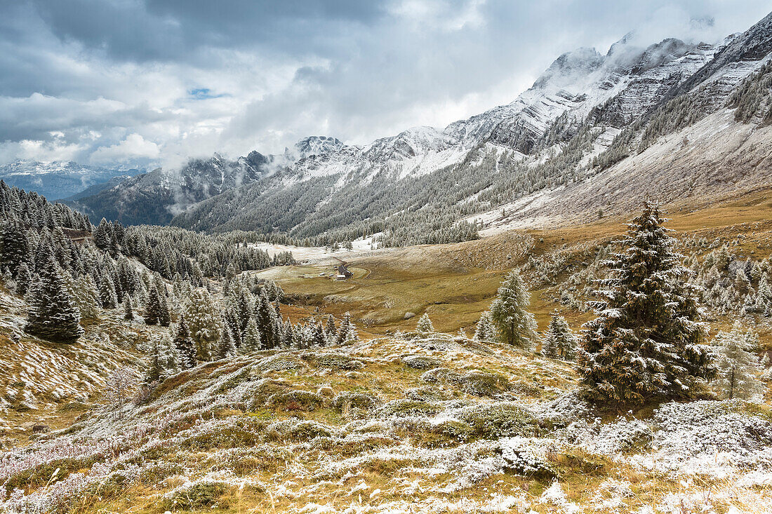 Europe, Italy, Veneto Trentino border, Valles, Autumn first snow, Valles pass, Belluno, Dolomites