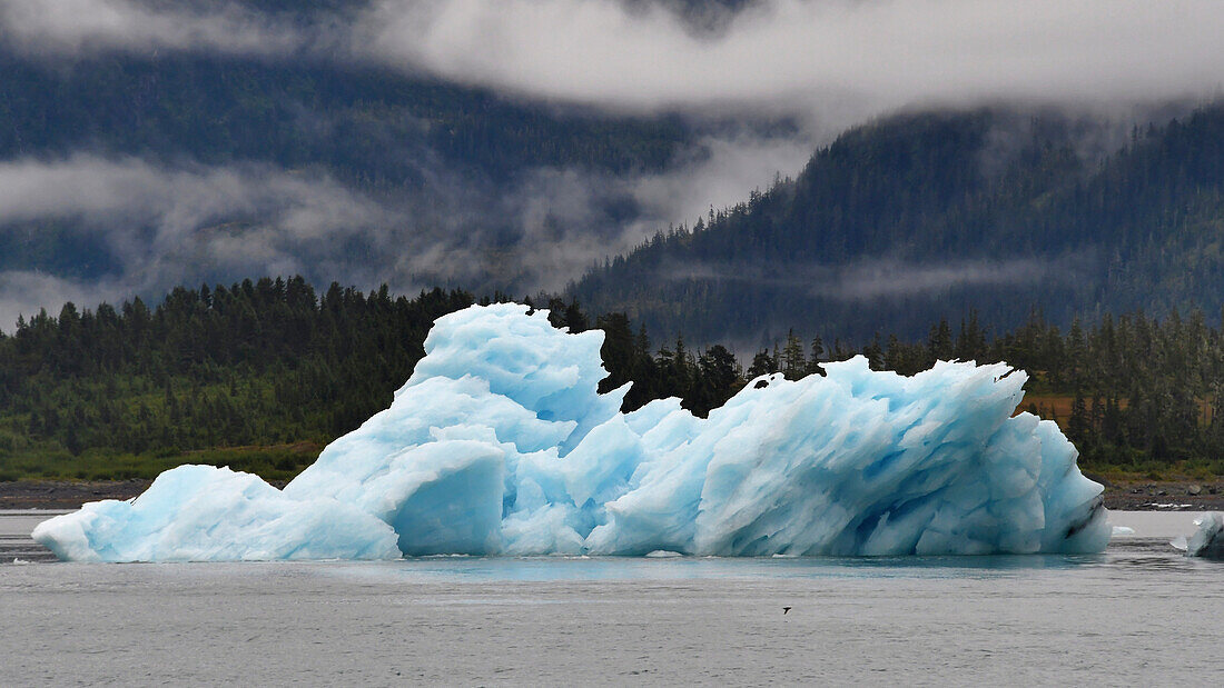 Iceberg in Columbia Glacier, Alaska, USA