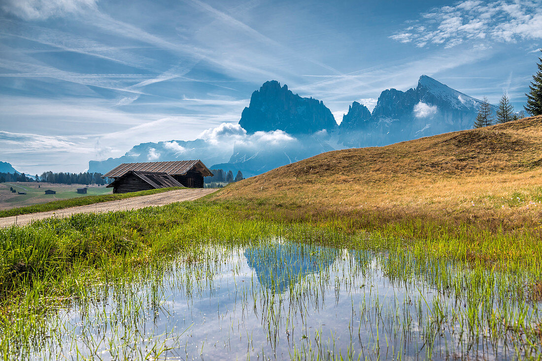 Alpe di Siusi, Seiser Alm, Dolomites, South Tyrol, Italy, Sunset on the Alpe di Siusi, Seiser Alm