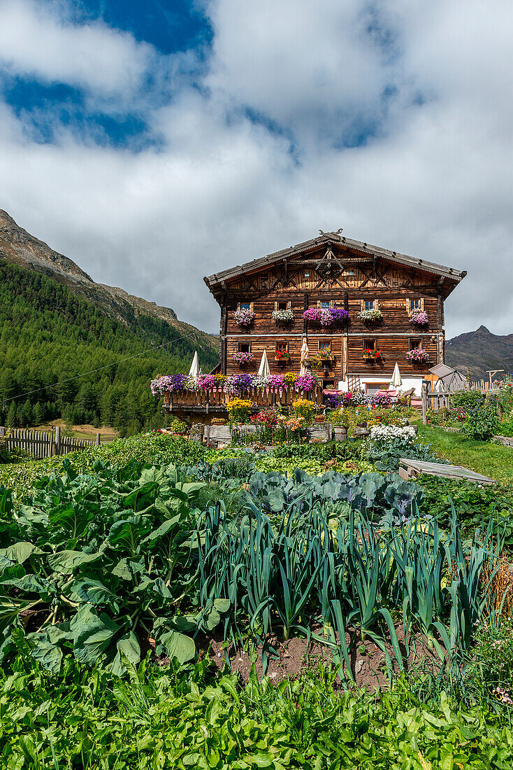 Senales, Schnalstal, Bolzano province, South Tyrol, Italy