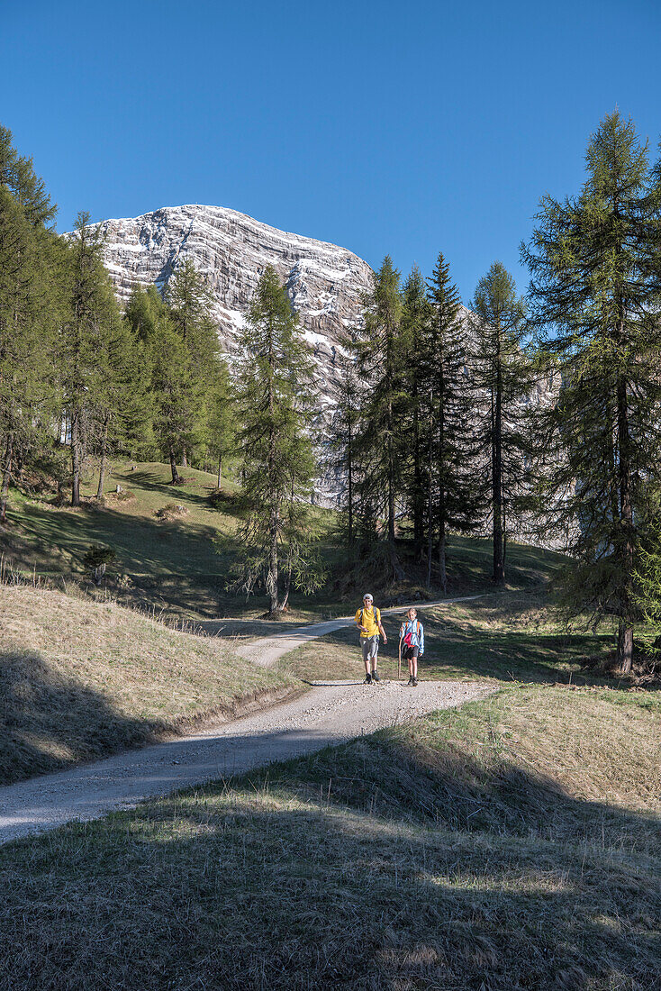 La Valle , Wengen, Alta Badia, Bolzano province, South Tyrol, Italy, Hikers traveling on the pastures of Pra de Rit